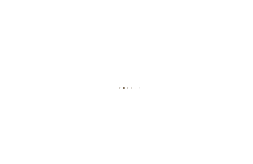 banner_half_company